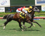 Katie's Kiss Wins the Summer Wind at Gulfstream, Aug. 15, 2015