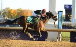 Musical Romance wins the 2011 Breeders' Cup Filly and Mare Sprint